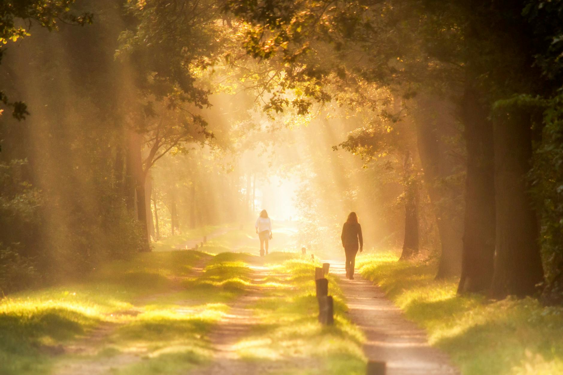 How to Build a Simple Morning Routine That Belongs Entirely to You